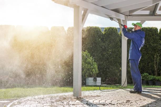 Best Building Exterior Washing  in Long Branch, VA